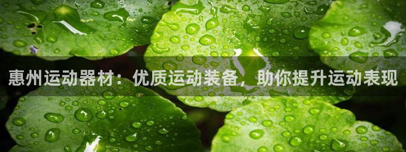 意昂体育3平台注册流程视频：惠州运动器材：优质运动装