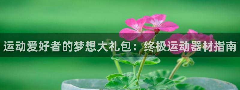 意昂3官网：运动爱好者的梦想大礼包：终极运动器材指南