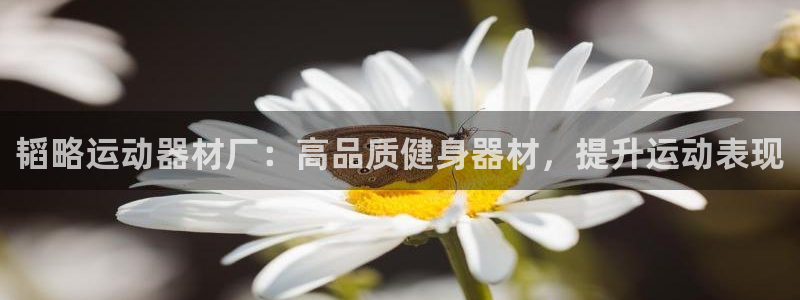 意昂体育3平台注册要钱吗安全吗：韬略运动器材厂：高品