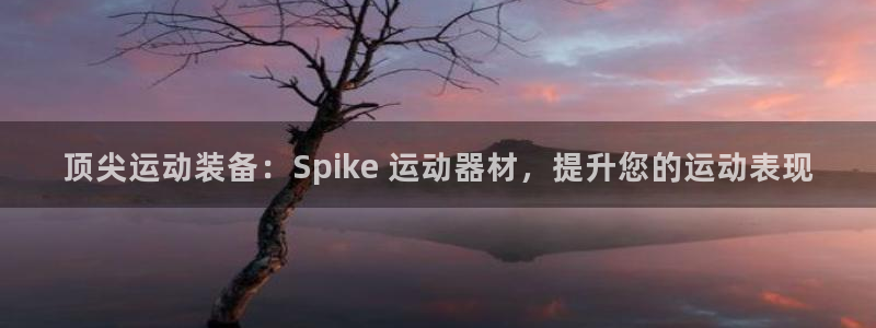 意昂体育3注册：顶尖运动装备：Spike 运动器材，