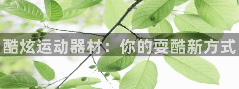 意昂体育3官方客服电话：酷炫运动器材：你的耍酷新方式