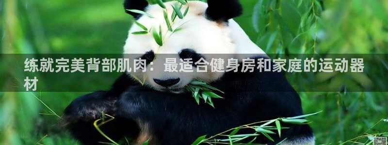 意昂体育3平台:练就完美背部肌肉:最适合健身房和家庭的运动器