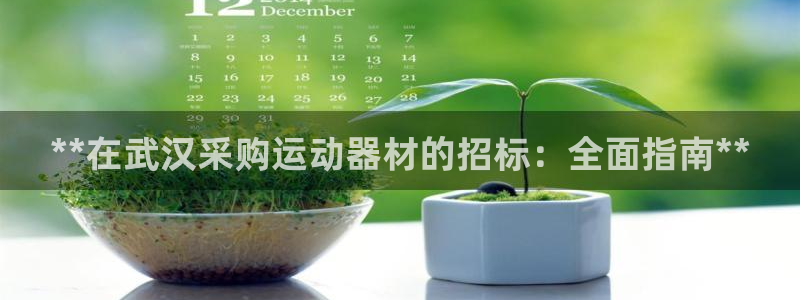 意昂3集团官网首页:**在武汉采购运动器材的招标:全面指南*